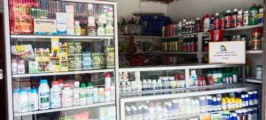 unit usaha saprodi BUMNag Lubuak Bakilek Malam Koto Kaciak